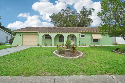 8410 Angela Ct, Zephyrhills, FL 33541