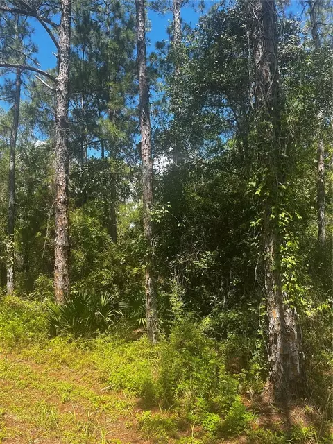 Southeast Ave, Webster, FL 33597