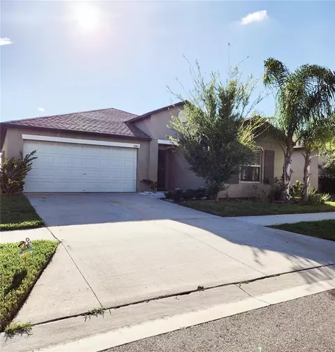 11207 Beeswing Pl, Riverview, FL 33578 photo 1