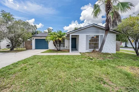 6708 Willow Spring Ct, Tampa, FL 33615