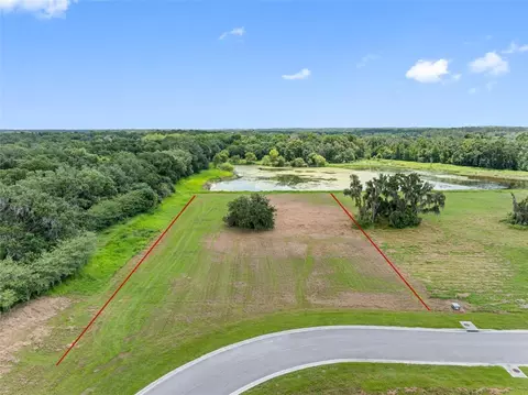 15306 Fishhawk Heights Run, Lithia, FL 33547