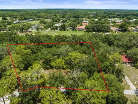 30201 Lynne Dr, Wesley Chapel, FL 33543