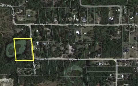 41807 Doe Lake Rd, Deland, FL 32720