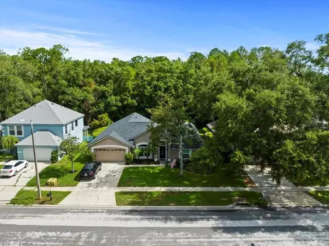 6207 Forrestal Dr, Tampa, FL 33625