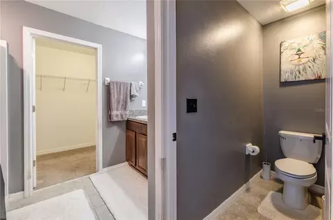 Bath - 409 Serenity Mill Loop, Ruskin, FL 33570 photo 2 of 3