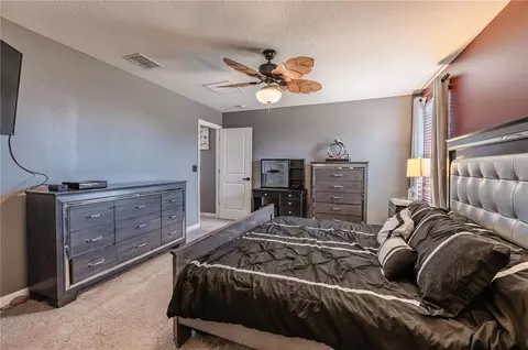 Bedroom - 409 Serenity Mill Loop, Ruskin, FL 33570 photo 3 of 5