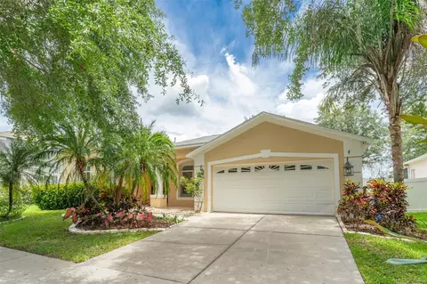 4323 Balington Dr, Valrico, FL 33596