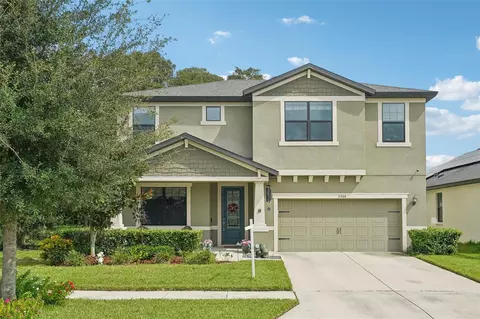 11206 Paddock Manor Ave, Riverview, FL 33569