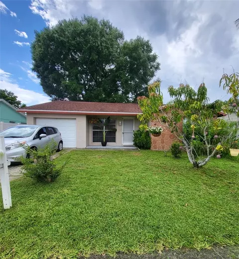 8912 Shady Tree Ct, Tampa, FL 33634