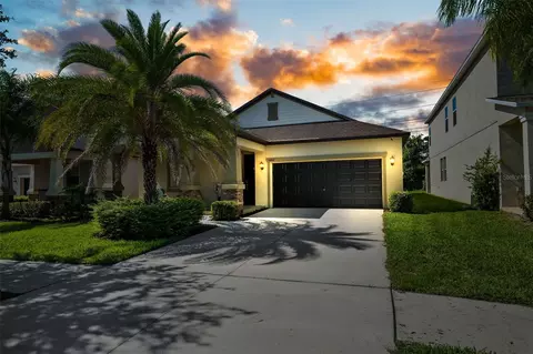 14019 Tropical Kingbird Way, Riverview, FL 33579