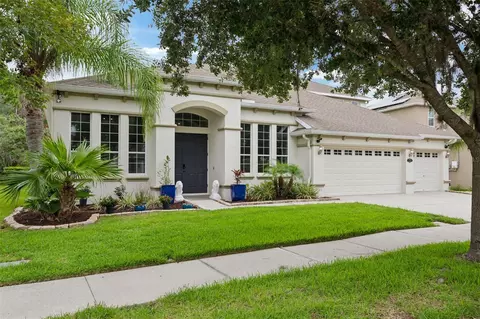 20208 Ravens End Dr, Tampa, FL 33647