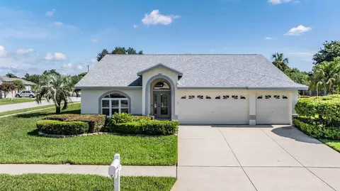 22621 Magnolia Trace Blvd, Lutz, FL 33549