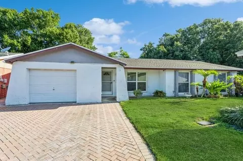 8909 High Ridge Ct, Tampa, FL 33634