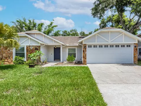 503 Rapid Falls Dr, Brandon, FL 33511
