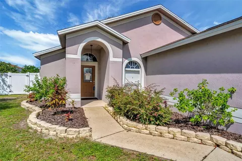 10605 Foxcrest Way, Riverview, FL 33569 photo 1