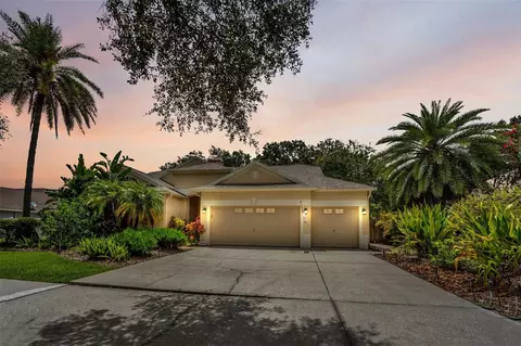12521 River Birch Dr, Riverview, FL 33569
