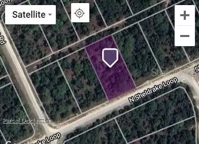 Sheldrake Loop, Brooksville, FL 34614