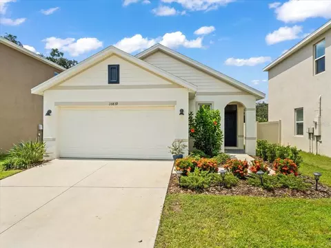 10839 Trailing Vine Dr, Tampa, FL 33610