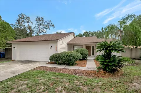 2312 Southern Lites Ave, Lutz, FL 33549