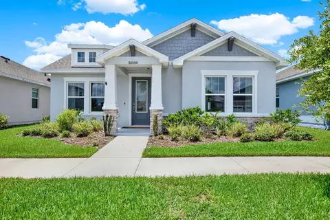 28590 Sweet Persimmon Dr, Wesley Chapel, FL 33543