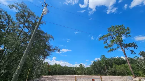 35391 Overcup Dr, Webster, FL 33597 photo 6