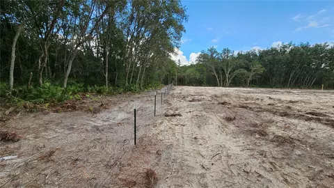 35391 Overcup Dr, Webster, FL 33597 photo 4