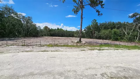 35391 Overcup Dr, Webster, FL 33597 photo 3