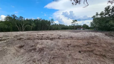 35391 Overcup Dr, Webster, FL 33597 photo 5