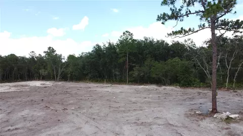 35391 Overcup Dr, Webster, FL 33597 photo 9