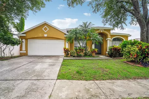 316 Country Vineyard Dr, Valrico, FL 33594