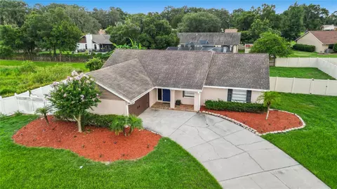 4517 Mohican Trl, Valrico, FL 33594