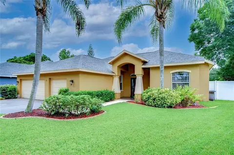 1126 Lumsden Trace Cir, Valrico, FL 33594
