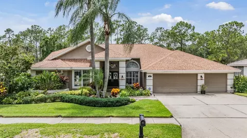 17314 Hialeah Dr, Odessa, FL 33556