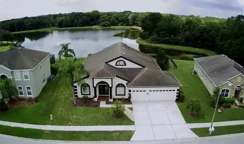 7738 Crescent Palm Dr, Wesley Chapel, FL 33545