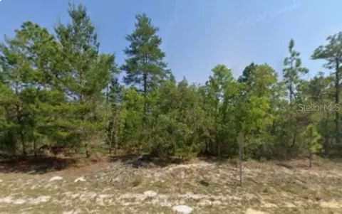 6940 N Fountainhead Dr, Citrus Springs, FL 34433