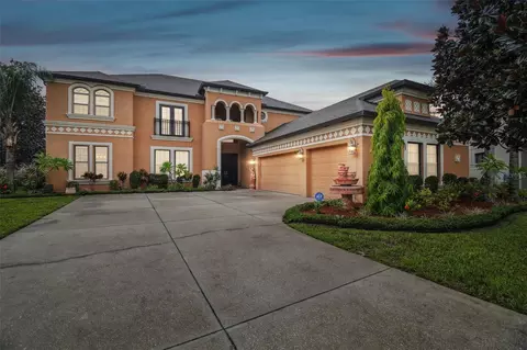 14814 Ninebark Ct, Land O Lakes, FL 34638