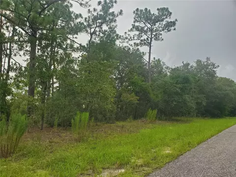 6584 N Clayton Ave, Dunnellon, FL 34434
