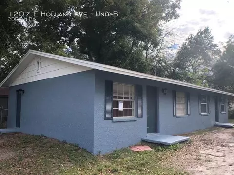 1207 E Holland Ave, Tampa, FL 33612