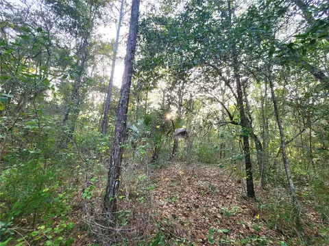 Canyon Swallow Road, Brooksville, FL 34614