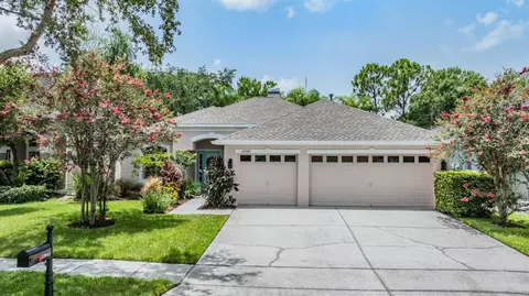 12043 Mountbatten Dr, Tampa, FL 33626