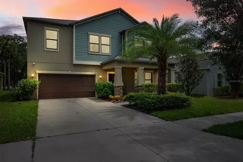 14273 Blue Dasher Dr, Riverview, FL 33569