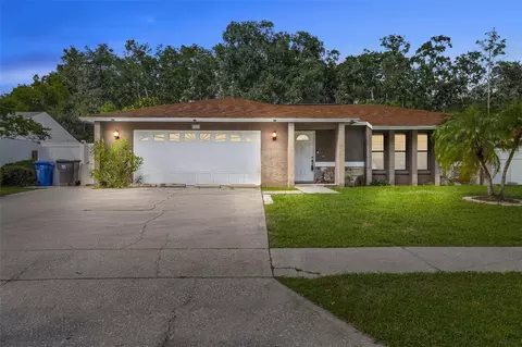 5312 Black Pine Dr, Tampa, FL 33624