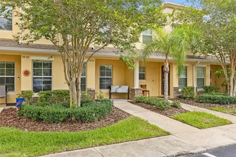 9856 Trumpet Vine Loop, Trinity, FL 34655