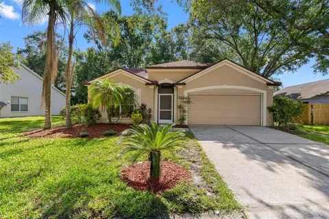 4552 Steel Dust Ln, Lutz, FL 33559