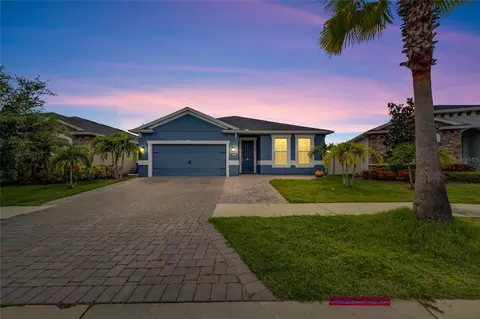 12230 Blue Pacific Dr, Riverview, FL 33579 photo 1