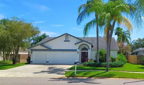 11326 Bloomington Dr, Tampa, FL 33635
