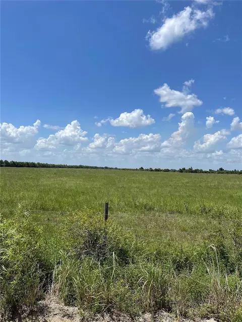 39 Ellie Ln, Venus, FL 33960