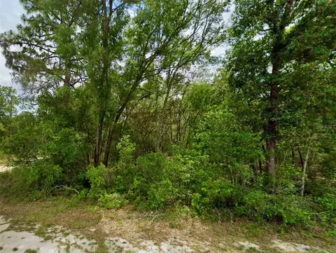 SE 106th Avenue, Ocklawaha, FL 32179