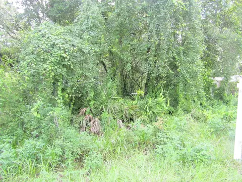 Atlee Street, New Port Richey, FL 34654