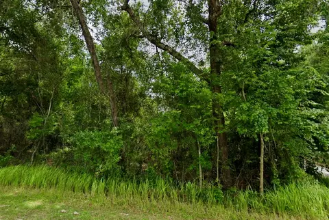 13335 SE 107th Ct, Ocklawaha, FL 32179